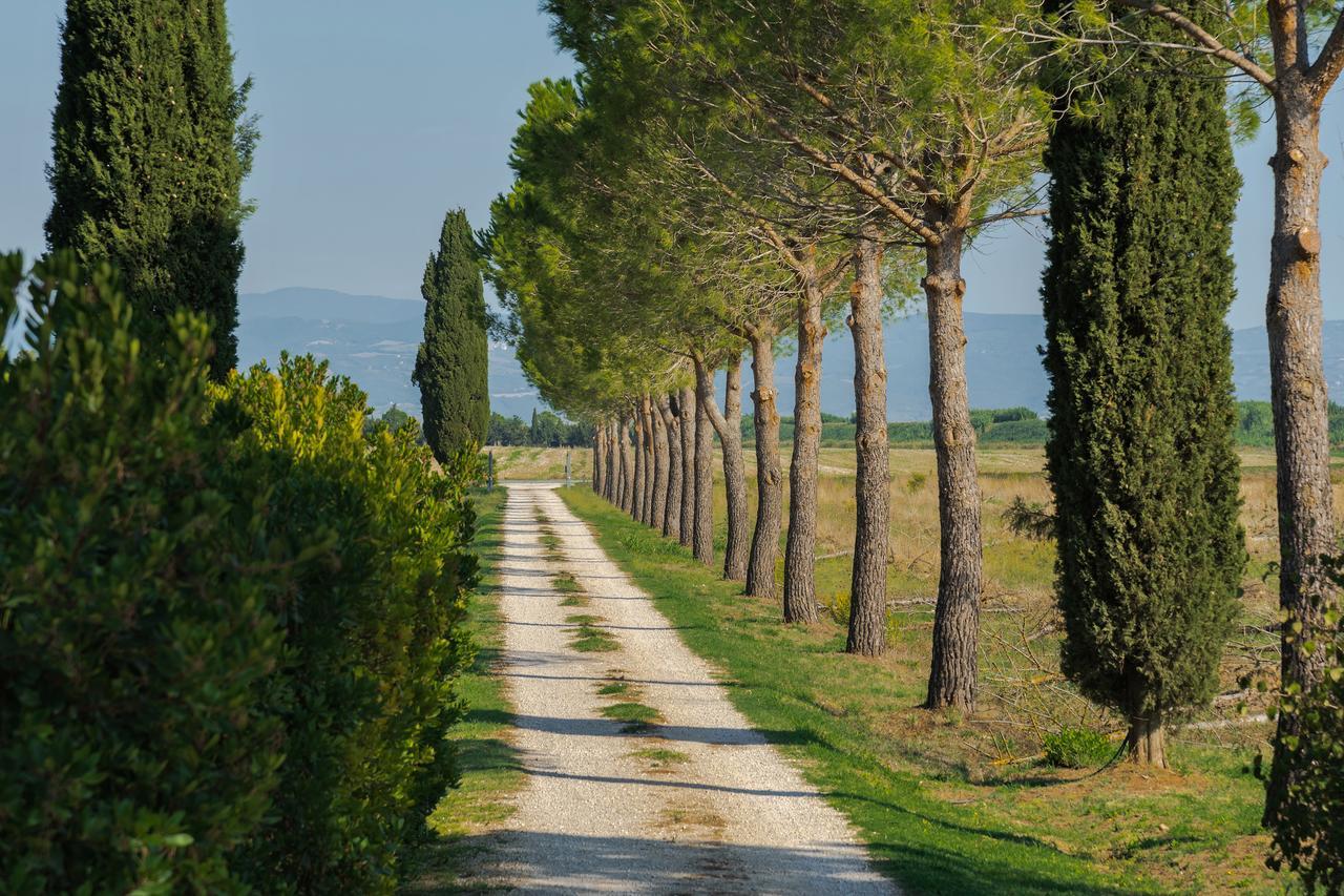 Agriturismo Bandinelli Бракканьи Экстерьер фото