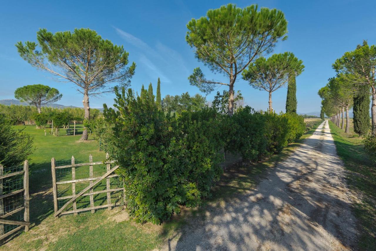 Agriturismo Bandinelli Бракканьи Экстерьер фото